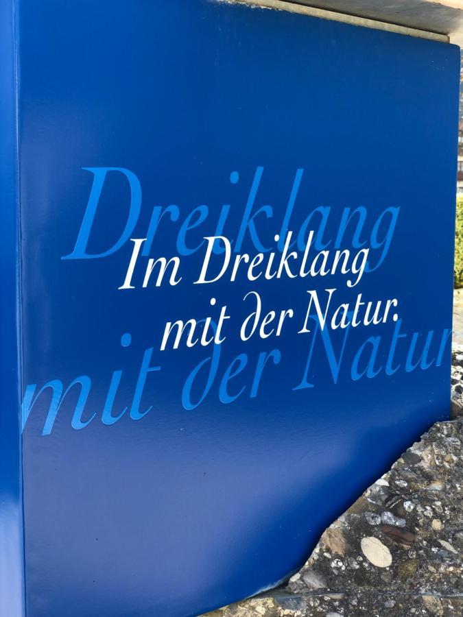 Vitallgaeu-Neues Studio Mit Koenigscard Pfronten Bagian luar foto